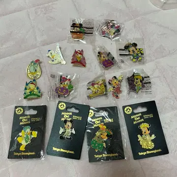 도쿄 디즈니 리조트 핀 배지 디즈니랜드 디즈니씨