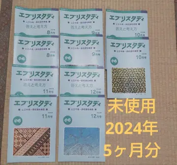 공립 중고일관교 적성검사 초6 2024년 8~12월분 Z회 에브리스타디