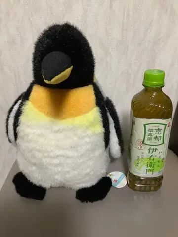 아사히야마 동물원 킹 펭귄 봉제 인형