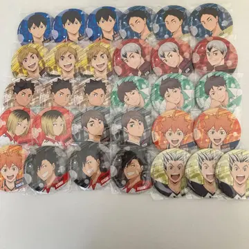 하이큐!! 캔배지