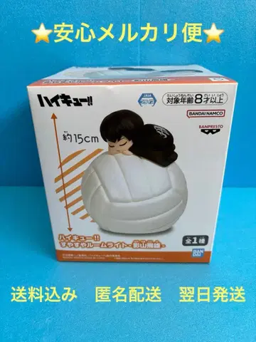 하이큐!! 룸 라이트 히나타 쇼요 약 15cm