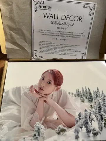 난죠 요시노 사진 패널