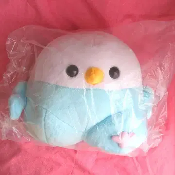 달리는 작은 새 앵무새