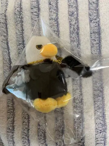 미세스 사용의 새