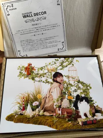 난조 요시노 사진 패널