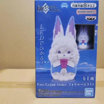 Fate/Grand Order 포우 룸 라이트