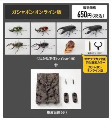 생물대도감 장수풍뎅이 10 온라인판 컴플리트