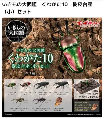 생물대도감 장수풍뎅이 10 온라인판 컴플리트