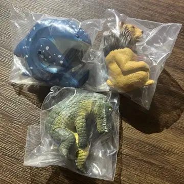 기다림 진베이 상어 사자 악어