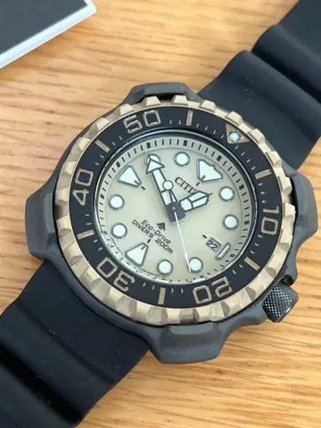 시티즌 프로 마스터 에코 드라이브 다이버 BN0226-10P