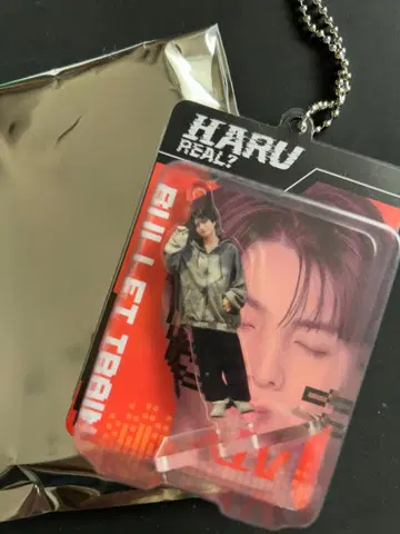 하루 특급 REAL? 랜덤 키링 덤 포함