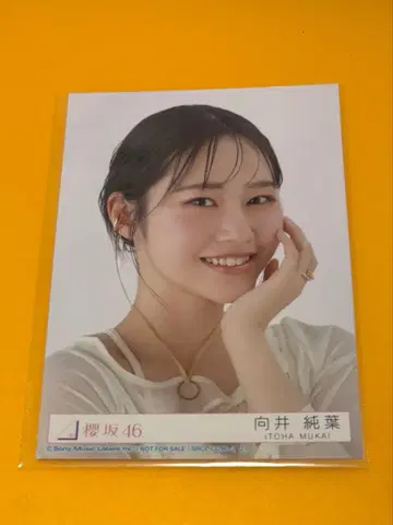 사쿠라자카46 무카이 이토하 브로마이드 Addiction 봉입 요리