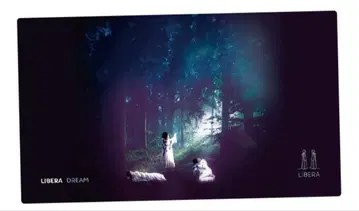 Libera 리베라 DREAM 담요