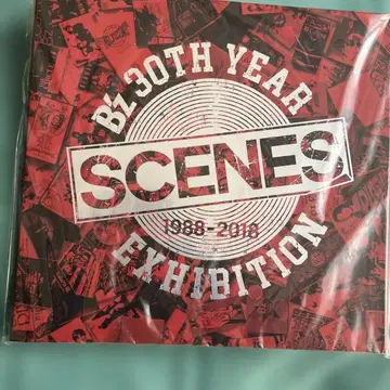 BL 30th Year Exhibition SCENES