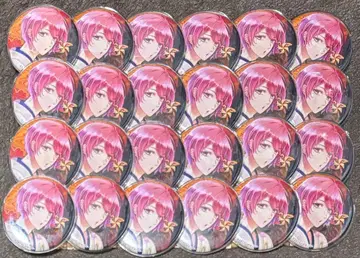 스타마이 귀여운 히카루 캔뱃지 로망기담