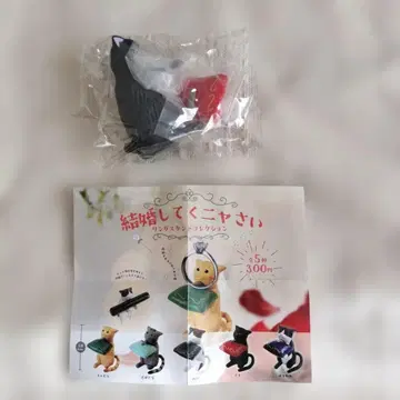 검은 고양이 캡슐 토이 결혼식