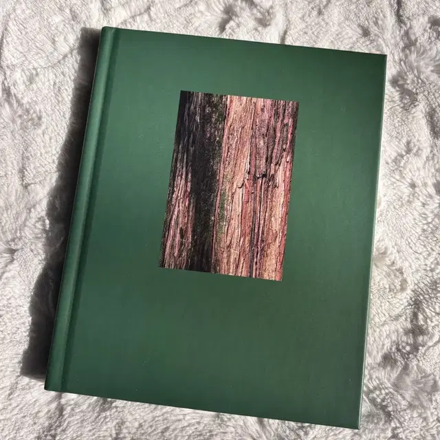 방탄소년단 남준 RM 나무의 언어 2021