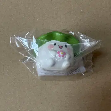 이하와 그의 하얀 고양이 스승 모찌모찌 넨가오진 스퀴즈