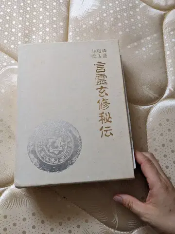 언령 현수 비전