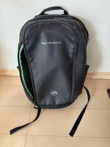 MAMMUT SEON 22리터 블랙