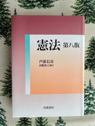 헌법 제8판 아시베 노부요시 이와나미 서점 사법시험