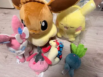 포켓몬 봉제 인형 세트 중형