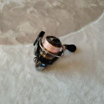 16 셀 테이트 2506