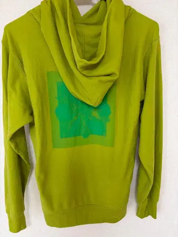 후지이 카제 my flower's here 후디 그린 M