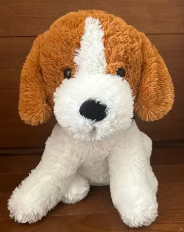 기간 한정 가격 인하! 비글 강아지 복슬복슬 봉제 인형 대