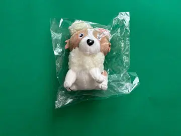 미도리키이로 사회 카리플라워 봉제 인형 키링