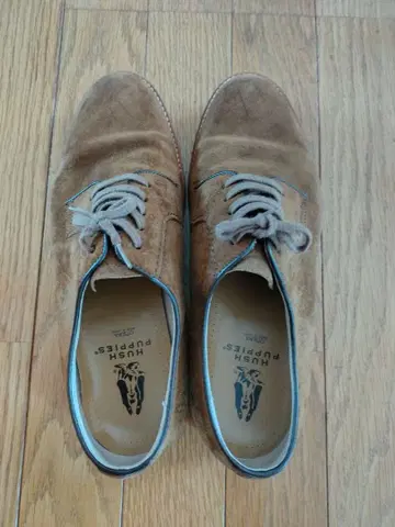 Hush Puppies 브라운 옥스퍼드 신발