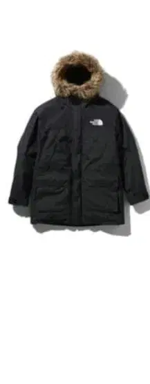 THE NORTH FACE 마운틴 다운 코트 새상품급
