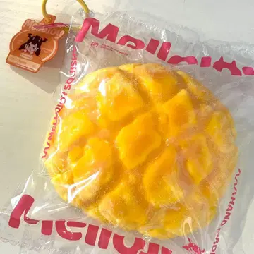Mellojoy 멜론빵 스퀴즈