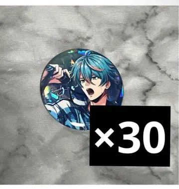 니조 하루카 아르고나비스 홀로그램 캔뱃지