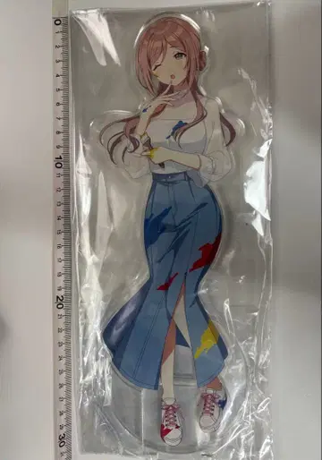 히메사키 리나미 조금 큰 아크릴 스탠드