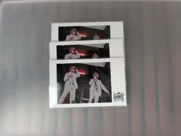 기사X 테루토군 x 타케야키 쇼 포토 카드