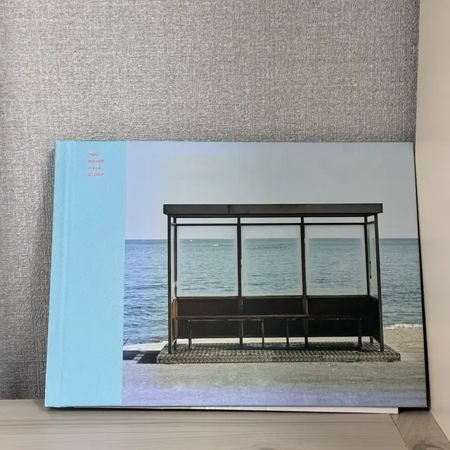 방탄소년단 앨범 앨범있음 피땀눈물 봄날