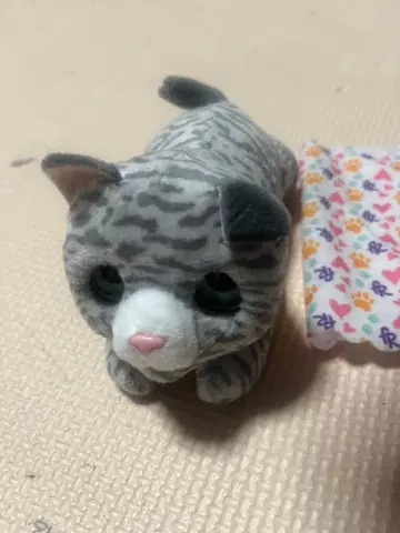 고양이 봉제 인형과 천 세트