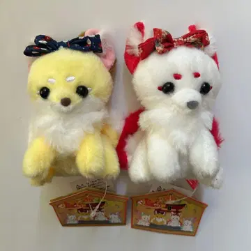 쵸콘과 마루오님 꽃 오마치 호박과 우이로