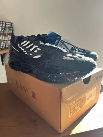 27cm SBTG x Mizuno Wave Rider 10