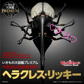 생물대도감 프리미엄 헤라클레스 리키 오오카부토 곤충