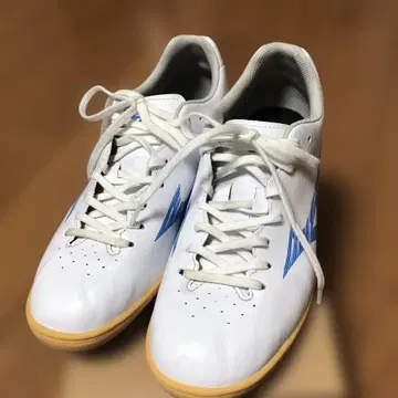 25.0cm 미즈노 모나치다 화이트/블루