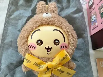 치이카와 Kiramekko 테디 베어 키라멕코 / 토끼