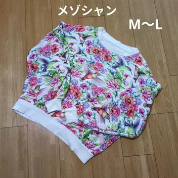 MAISON DE SHANTI 메조 드 샹티 트레이닝복 M~L