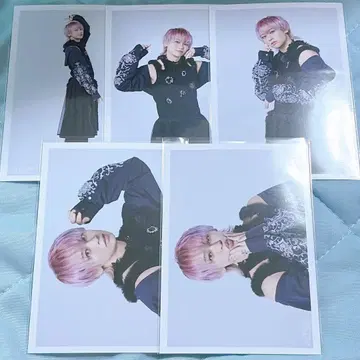 초특급 슈야 NINE LIVES 브로마이드 A 컴플리트 5장 세트