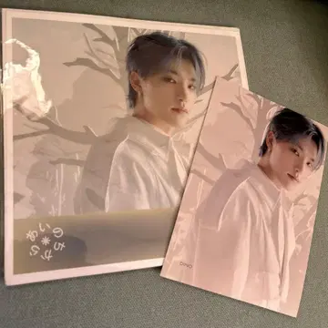 아이노치카라 디노 플라이어 메가재킷