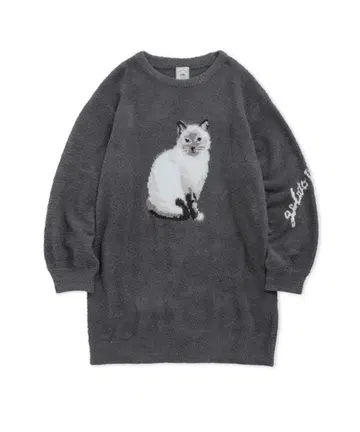 젤라또피케 고양이