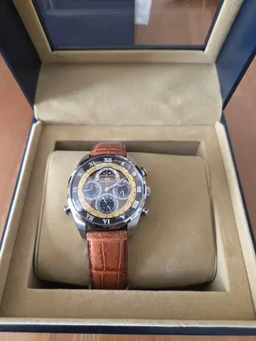 시티즌 칸파노라 그랜드 컴플리케이션 코가레코 스다쿠