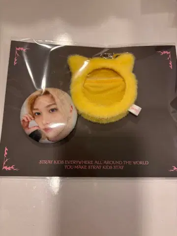 straykids 스키즈 popup 팝업 필릭스 포가리