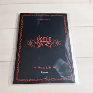 Stray Kids 현진 엽서북 domin